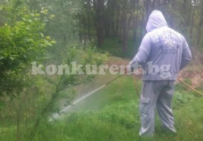 Пръскат срещу зараза, забраниха клането на животни