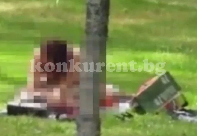 Младо семейство прави секс в парка пред очите на невръстното си дете