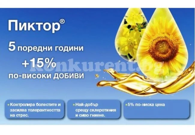 ПИКТОР