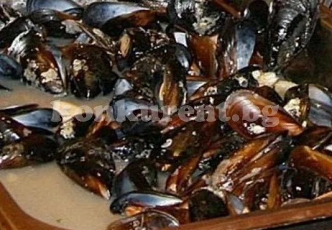 Бум на отровни миди по морето