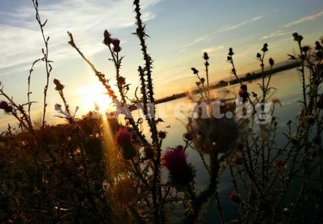 Времето на 22 юни: Остава слънчево