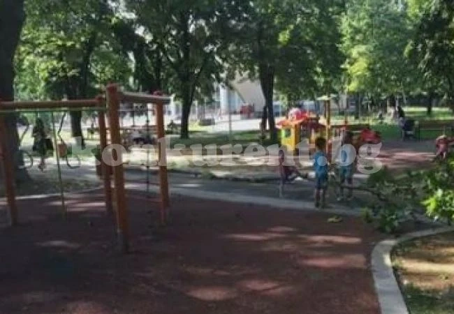 На косъм от трагедия! Деца и родители пищят и бягат....