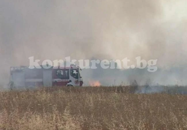 Пожар изпепели 15 декара пшеница, огнеборци спасиха 485 декара