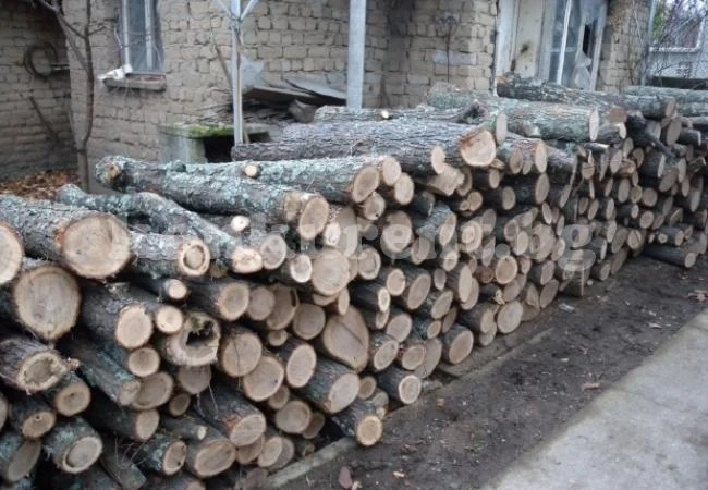 Иззеха незаконни дърва при проверка във Видинско