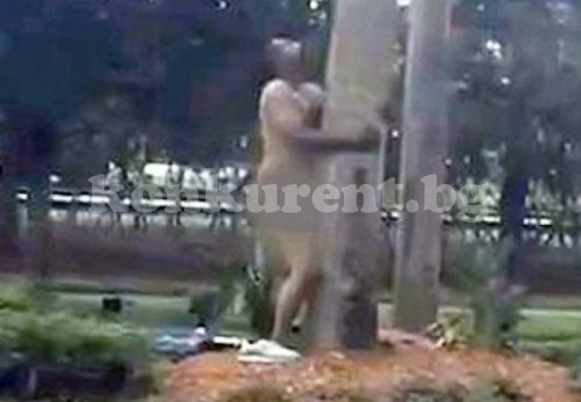 Мъж се съблече чисто гол и изнасили дърво посред бял ден (ВИДЕО 18+)