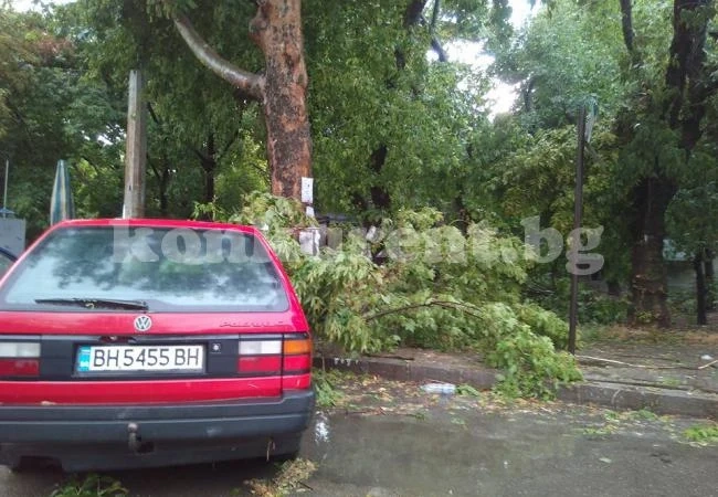 Премазани коли и съборени клони след бурята във Видин