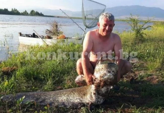 Доктор извади невиждан досега сом от язовир Берсин