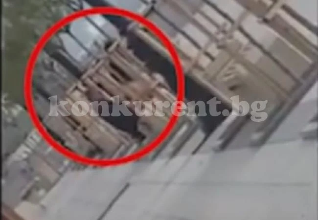 Двойка прави секс на крайбрежен буверард пред погледите на десетки (ВИДЕО 18+)