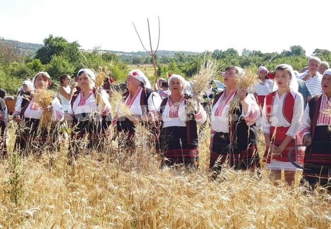 Откриха ритуално жътвата в Косталево