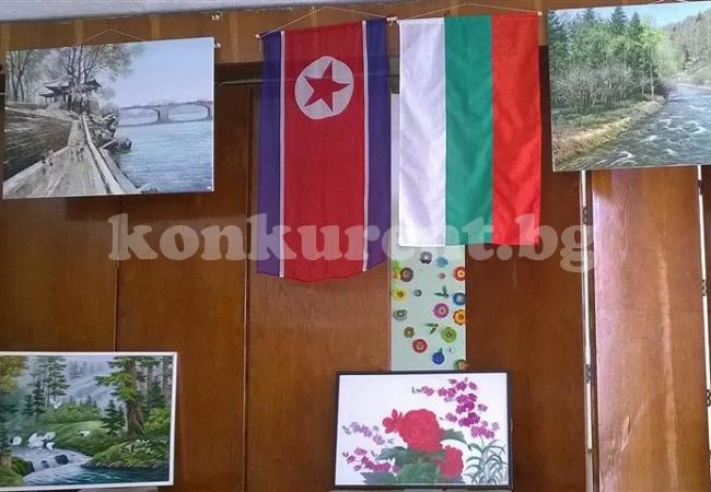 Корейци дойдоха в Белоградчик