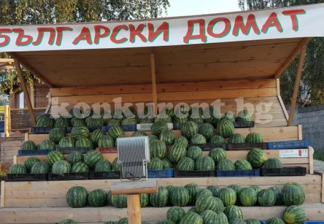 Търговци измислиха нов сорт български домат  