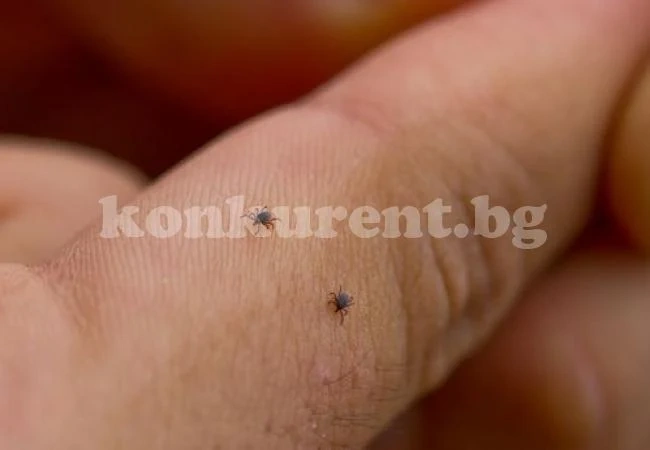 Неприятни срещи с кръвопийци по кожата? Ето какво трябва да знаем