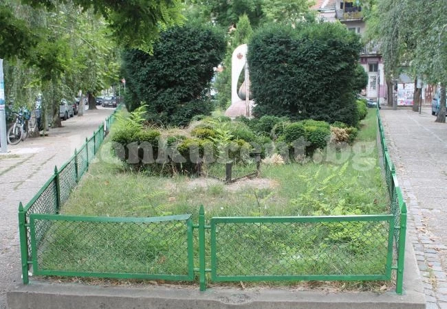 Видински младежи от ГЕРБ продължават инициативата си за приветлива среда