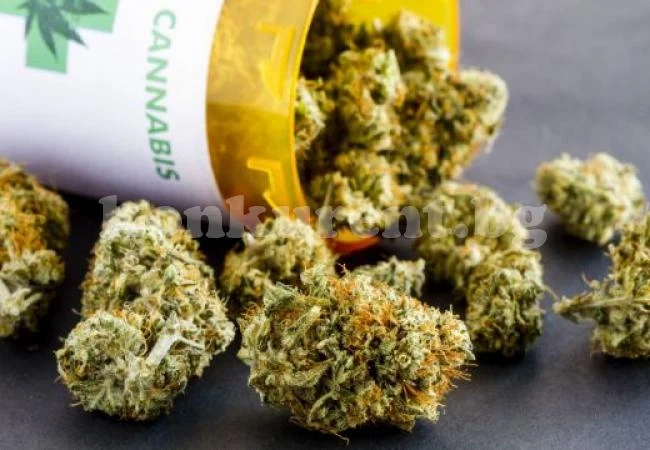 Гърция на път да легализира марихуаната