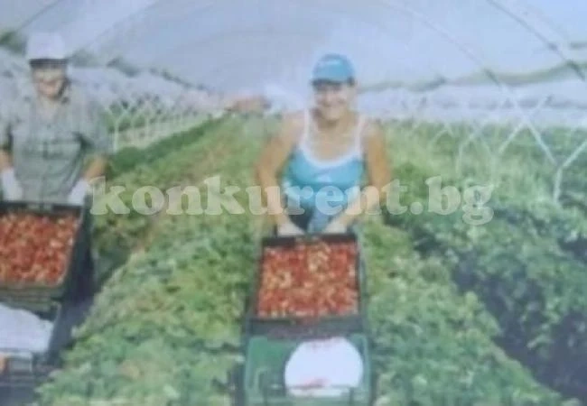 Потресаващ разказ на българи, заминали като роби в чужбина