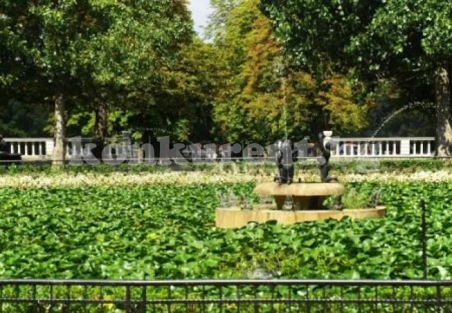 ”Умни” бариери ще спират колите в софийските паркове