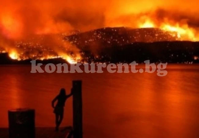 Няколко глупави, странни и нелепи събития, довели до трагедия (СНИМКИ/ВИДЕО)