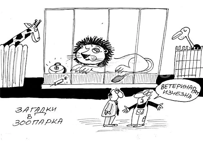 Загадки в зоопарка