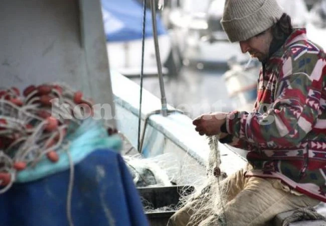 Разкриха защо рибата в Черно море изчезва