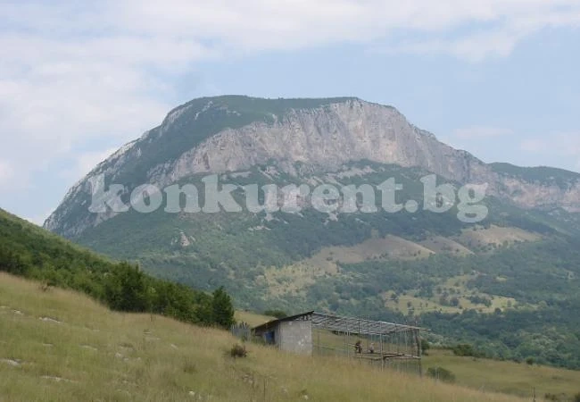 Безплатен тур сред природата за гостите на Вършец