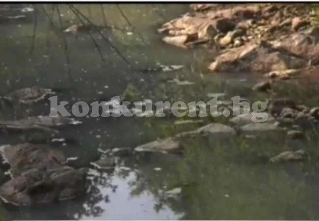Белоградчишки села пред екокатастрофа: Мандра замърсява река (ВИДЕО)
