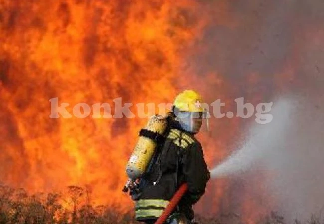С листовки борят пожарите през лятото в Монтанско