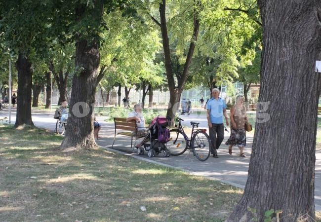 Парк „Рова“ е предпочитано място за отдих на видинчани