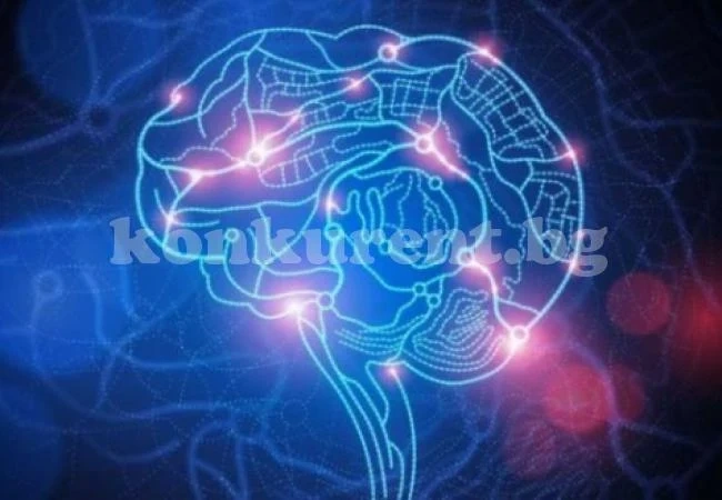 Какъв тип е вашата интелигентност? 