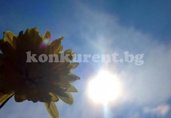 Времето на 16 август: Слънчево и топло