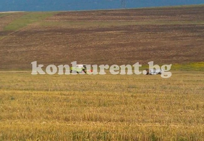 Над 12 000 т ечемик влязоха в хамбарите