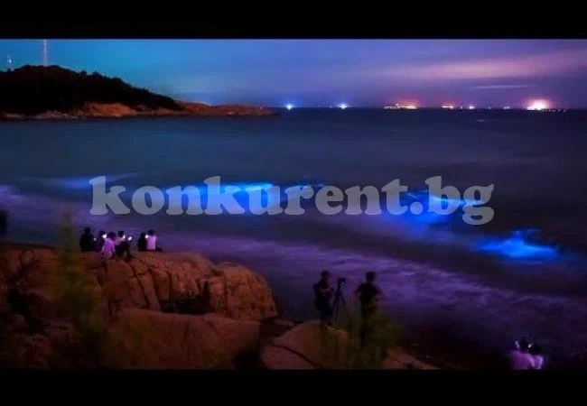 Вижте изумителния природен феномен „сини сълзи“ в океана край Китай (ВИДЕО)