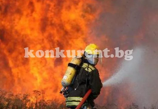 Огнени стихии вилняха във Видинско