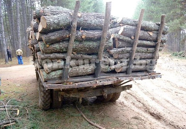Удариха с актове бракониери