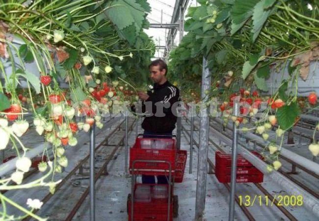 Чешката република търси работници от България и Румъния