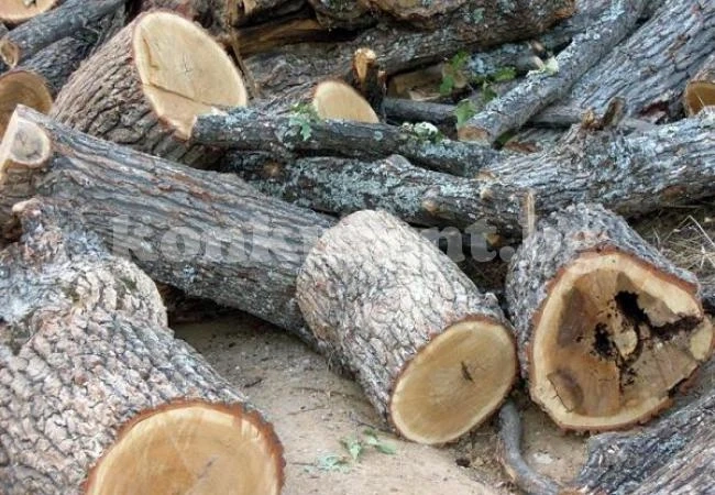 Писаха акт заради дърва без марка 