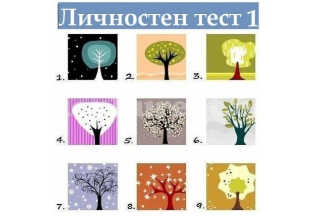 Лесен и бърз тест показва какъв човек сте