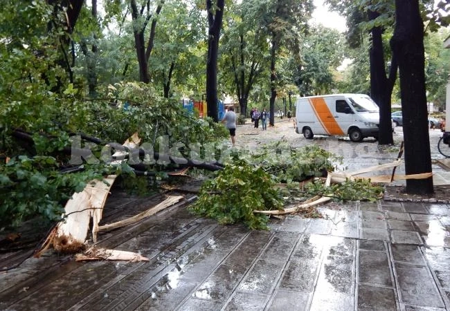 СНИМКИ И ВИДЕО: Бурята, която удари Видин