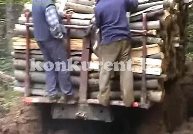 Спипаха две „ГАЗ”-ки с дърва
