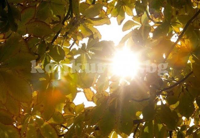 Какво време ни очаква в следващите дни?