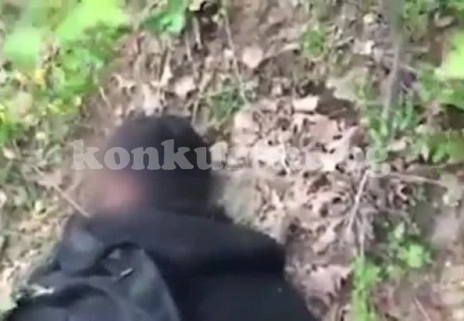 Заловиха нелегални бежанци в Монтанско