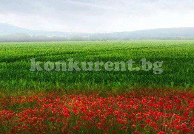 Истинска пропаст зее между регионите у нас. Вижте къде разликата е най-голяма