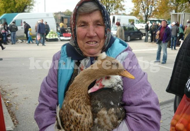 Трогателна снимка от видинския пазар