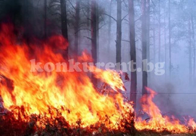 Неразумна стопанка подпали фургона си