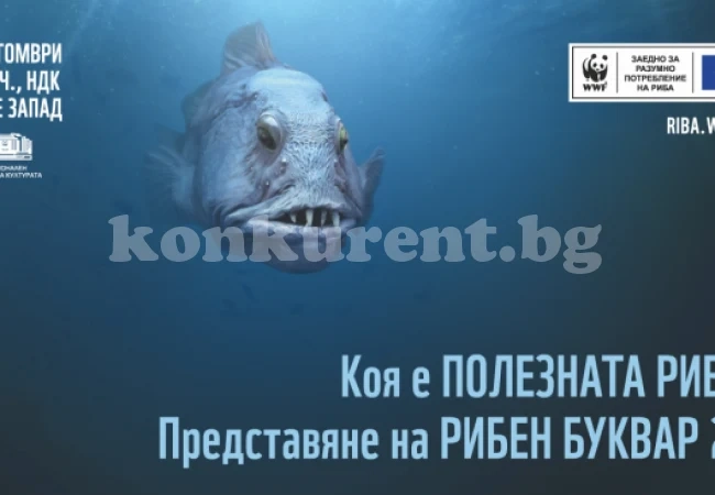 В деня на Черно море НДК ще свети в синьо