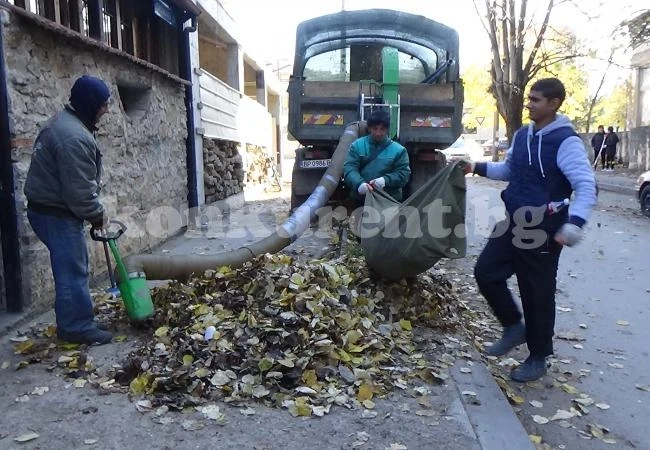 ВИДЕО: БКС мобилизира хора и машини заради шумата