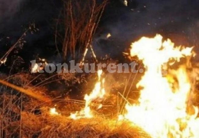 Горяха бали сено в Баница