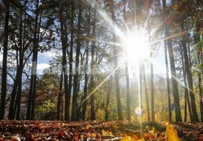 Времето на 6 ноември: Слънчево с временни увеличения на облачността