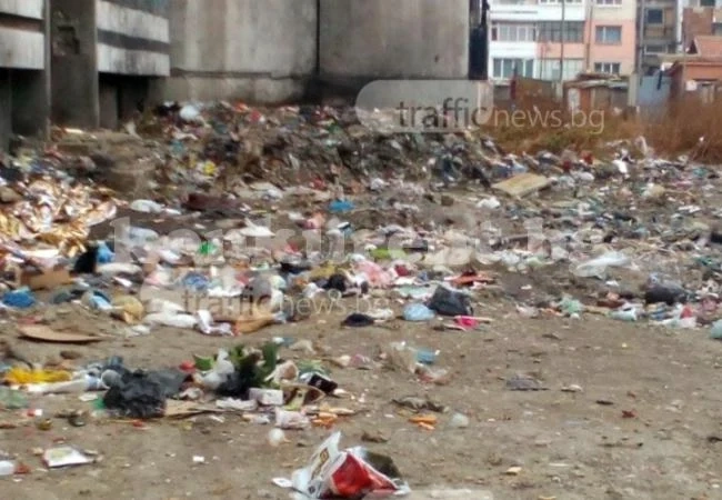 Хепатит се сее от сметище, почистили го... наполовина /СНИМКИ/