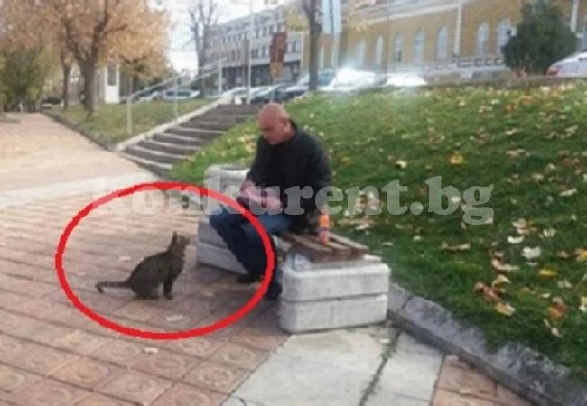Мрежата изпадна в екстаз от тази постъпка на шефа на полицията (СНИМКИ)