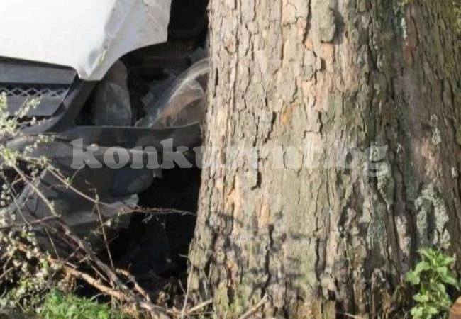 Мъж се размаза в дърво, но оцеля